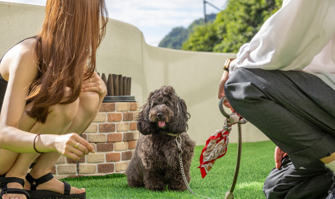 愛犬と一緒にベッドでくつろぐ女性